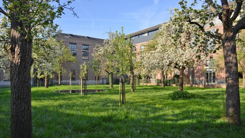 Uitgestorven fruitboomrassen Gent