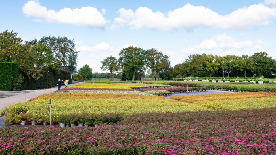 GrootGroenPlus