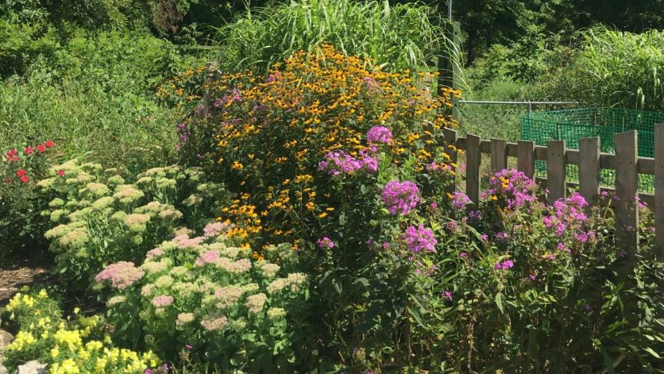 Hele jaar bloemen