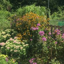 Hele jaar bloemen