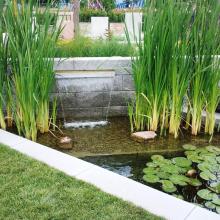 Zwemvijver filtratie