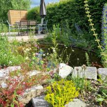 Klimaatvriendelijke tuin